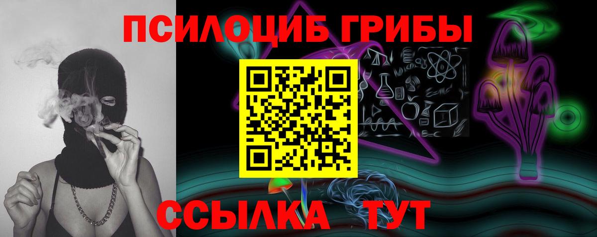 Горно-Алтайск  Псилоцибиновые грибы мицелий  Вход с VPN 